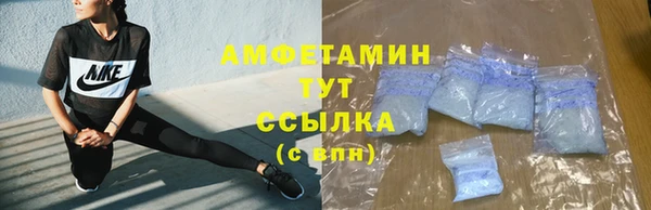 шишки Алексин