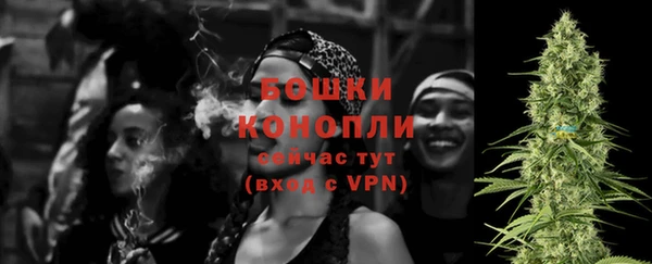 ешки Аркадак