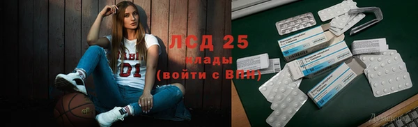 ешки Аркадак
