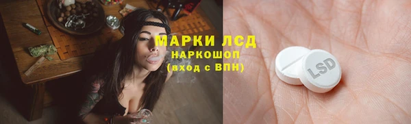 ешки Аркадак
