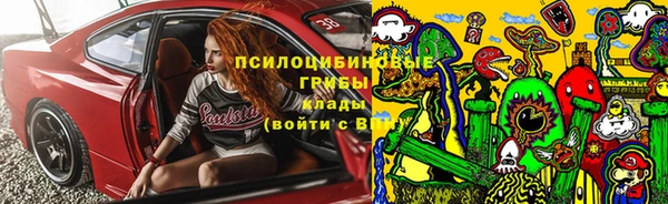 ешки Аркадак