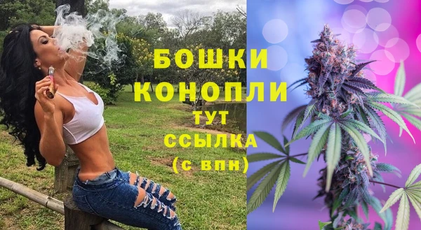 ГАЛЛЮЦИНОГЕННЫЕ ГРИБЫ Армянск