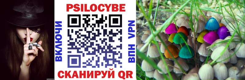 Галлюциногенные грибы Psilocybe Кирс